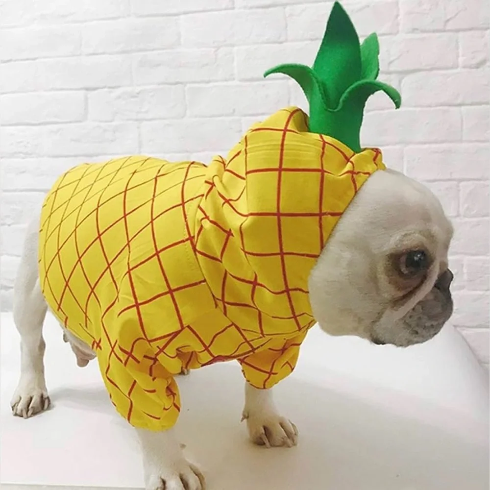 Coppthinku dogin dog